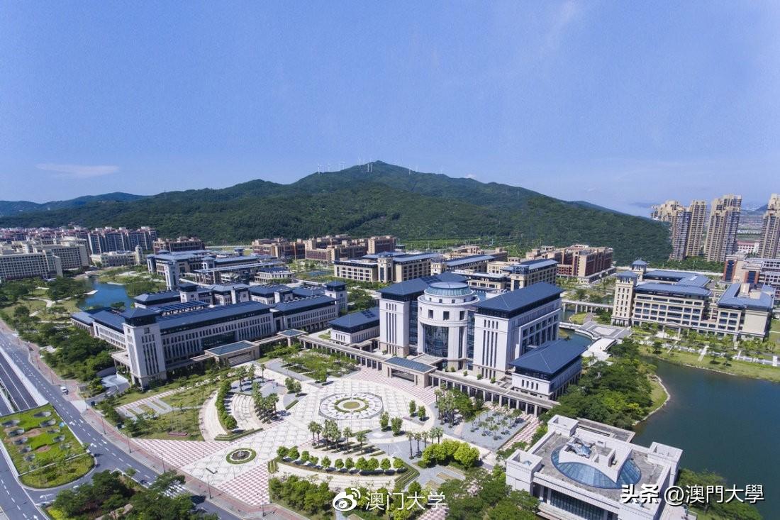 2025新澳门和香港天天精准免费大全，全面释义、专家深度解释与落实