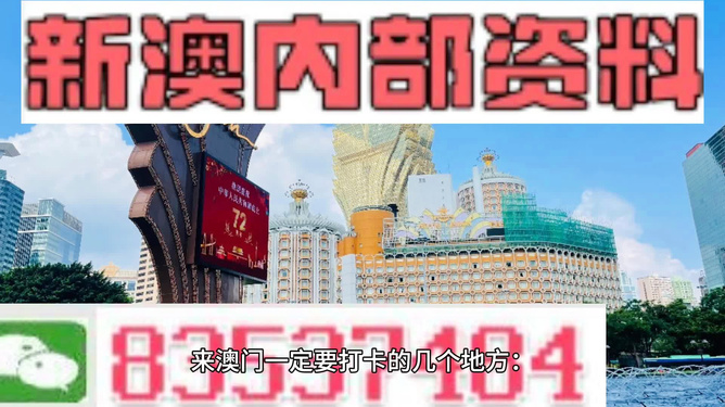 2025新澳门精准免费大全168，全面释义、专家深度解释与落实