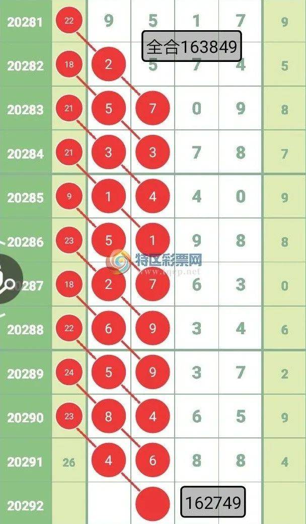 2025今晚必中必开一肖，全面释义、专家深度解释与落实